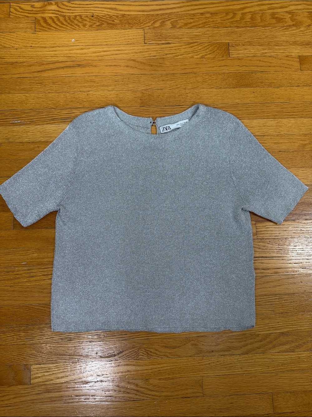 Zara Shimmery Silver Short Sleeve Top
